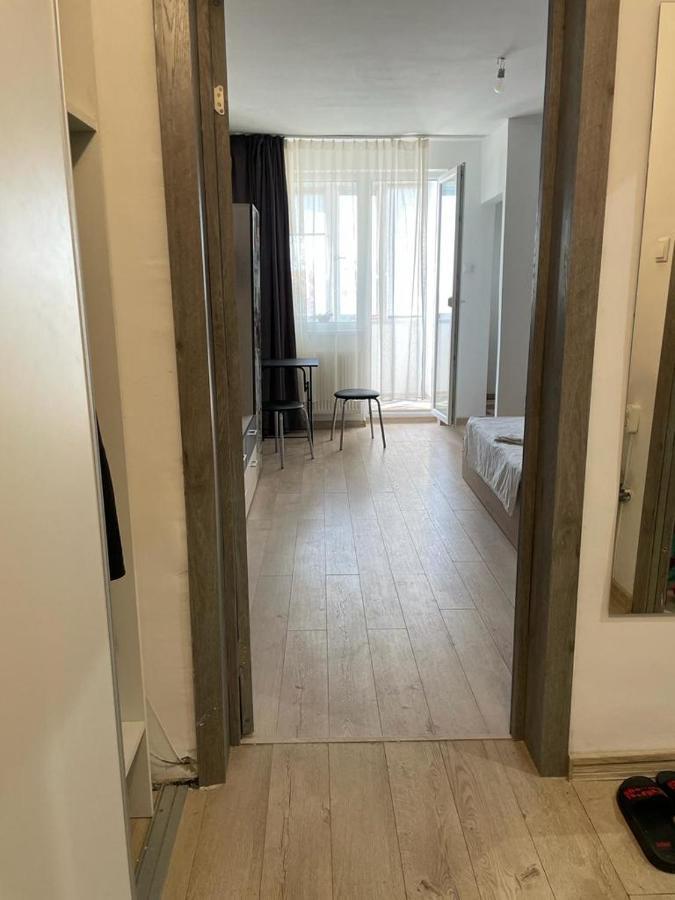 Bega Cirumvalatiunii One Room Apartment- 4 Timisoara Esterno foto