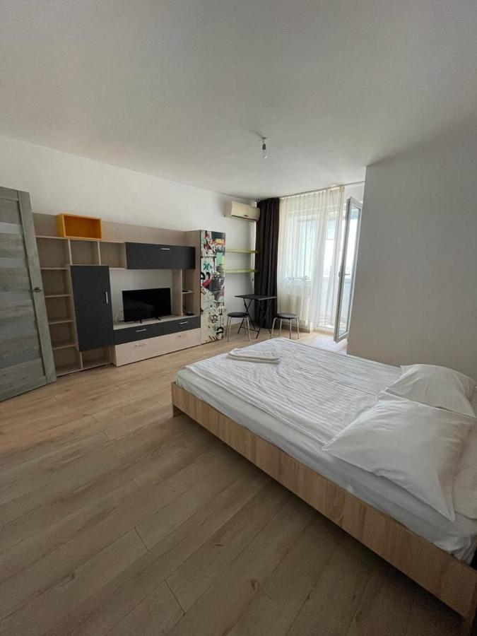 Bega Cirumvalatiunii One Room Apartment- 4 Timisoara Esterno foto